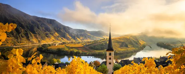 Rhine Moselle River