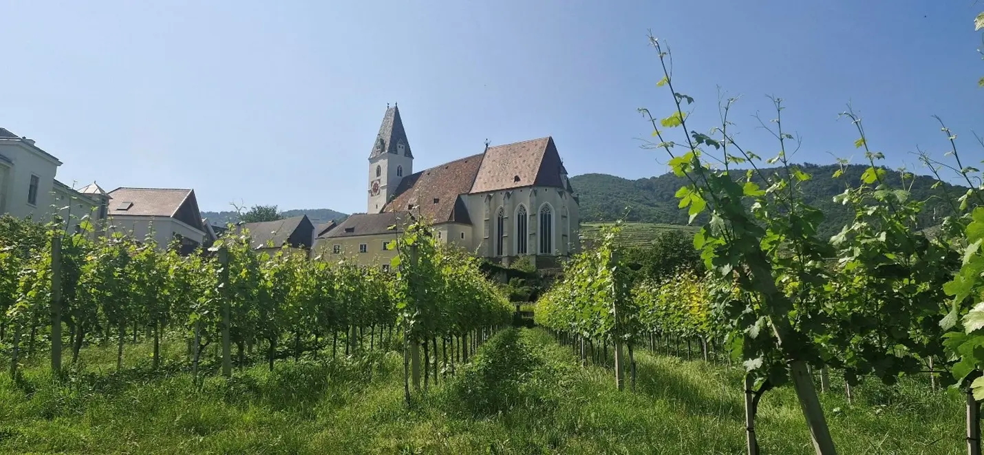 Painting, Cruising & Exploring Krems